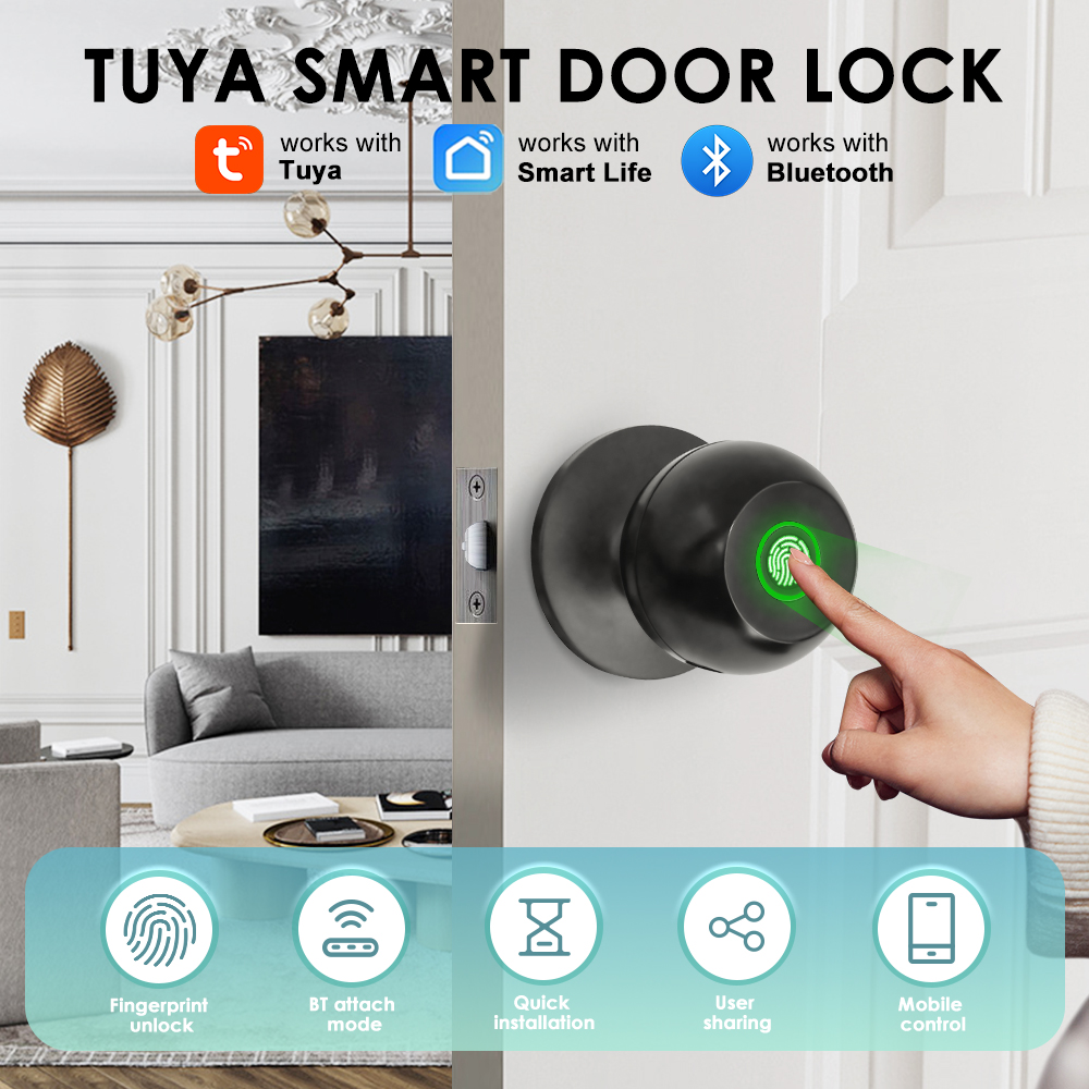 Home Office Immigration - Tuya Electronic Door Lock Smart External
