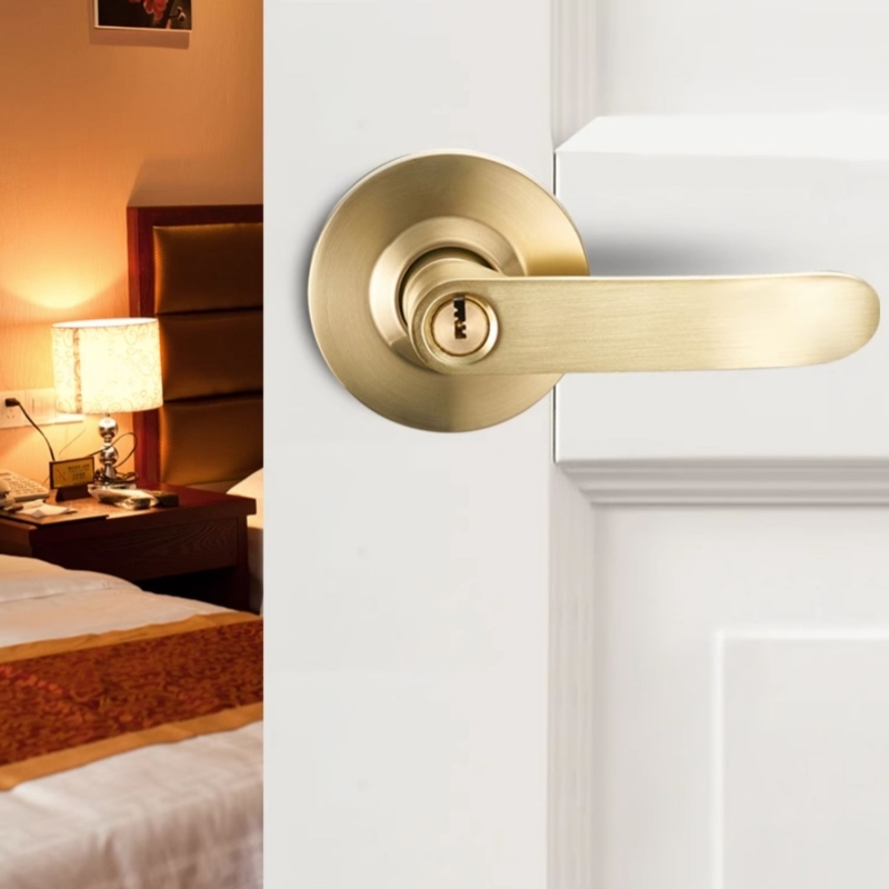 Home Office Immigration - Stainless Steel Interior Door Lever Lock